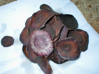 �t���C�h���F�̈�