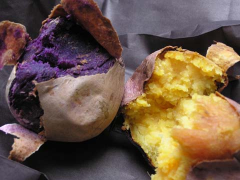 �g���[�i�E�j�@�����i���j