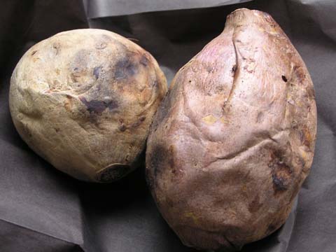 �g���[�i�E�j�@�����i���j