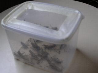 ���o����