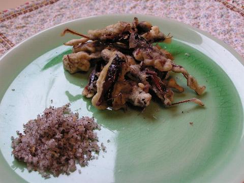 ��q���ǂ̓V�n���ɂȂ�