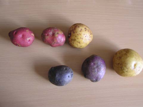 �ς�����F�̃W���K�C������