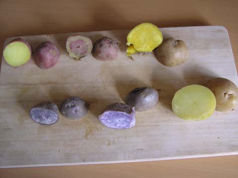 �������Đ؂��Ă݂�