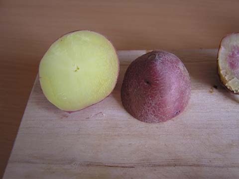 ���b�h���[��