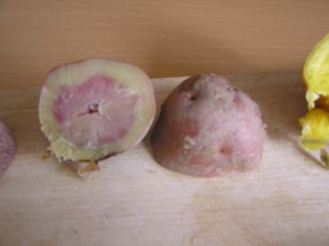 �C���J���b�h