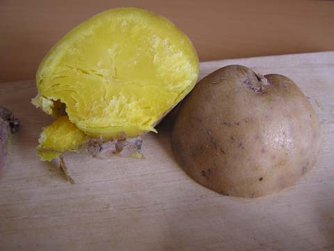 �C���J�̂߂���