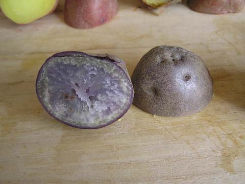 �C���J�p�[�v��