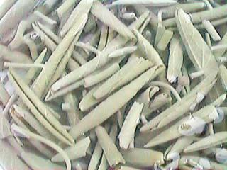 �܂���o���Ă݂�