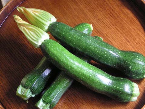 �Y�b�L�[�j