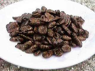 �J�C�R��匂��u�߂�����