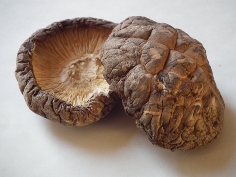 �V�C�^�P�i�ǂ񂱁j