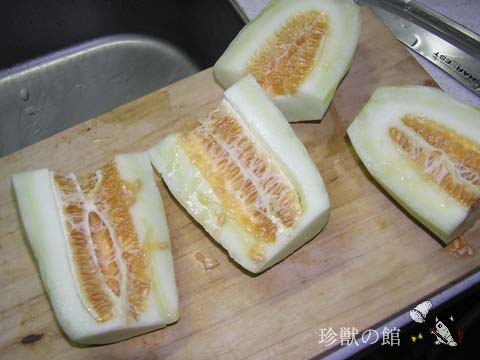 ��̓������̂悤