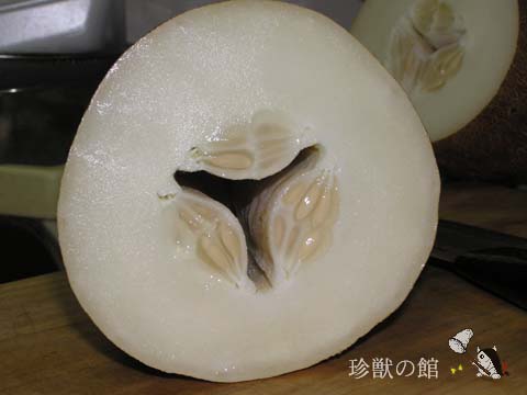 �֐؂�ɂ��Ă݂�