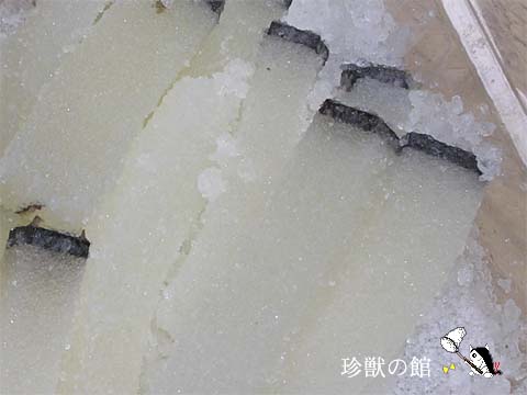 �c�`�N�W���̔�