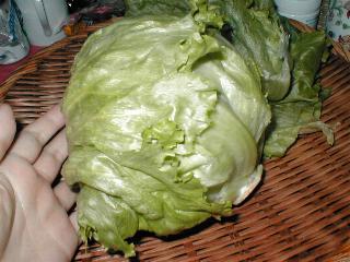 ���^�X�i�^�}�a�V���j