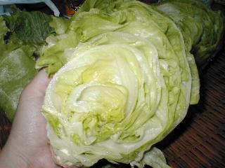 ���^�X�̐؂��