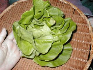 �T���_��