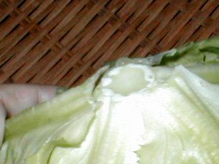 �T���_�؂̐؂��