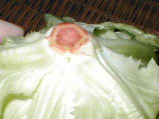 ���^�X�̐؂���i���Ԃ����Ɓc�j