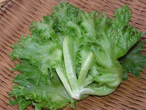 �t�����A�C�X