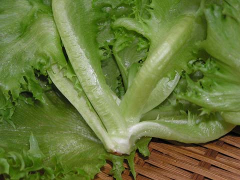 �t�����A�C�X