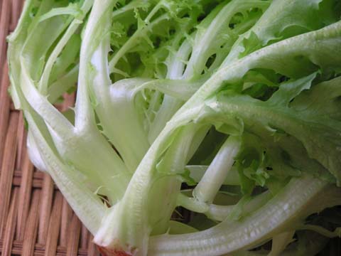 �O���[���}���[�S�[���h