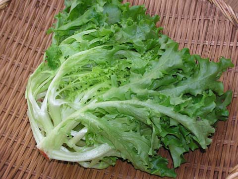 �O���[���}���[�S�[���h