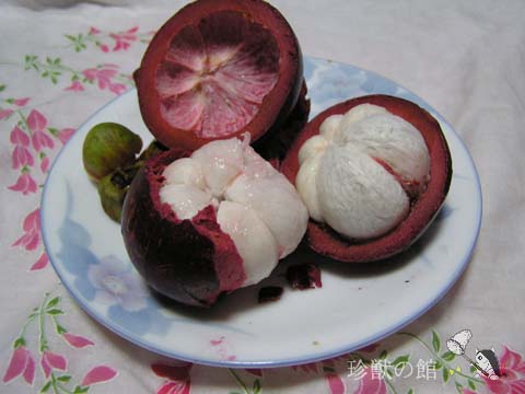 �}���S�X�`��