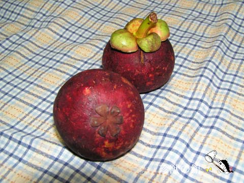 �}���S�X�`��