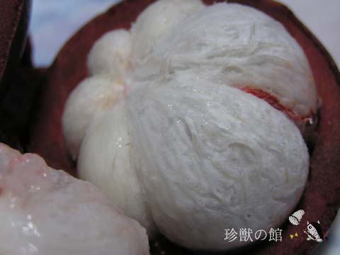 �}���S�X�`��