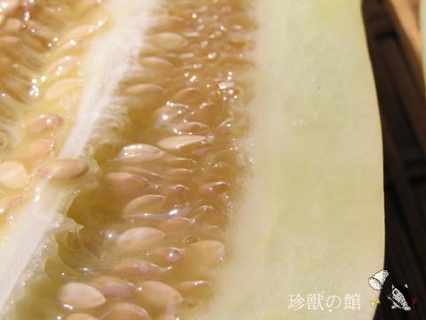 �}�N���E��