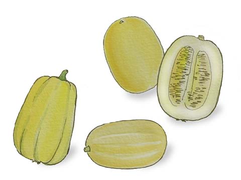 ���}�N��