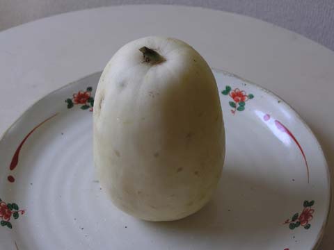 �i�V�E���i�}�N���E���j