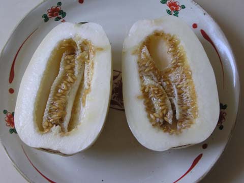 �i�V�E���i�}�N���E���j