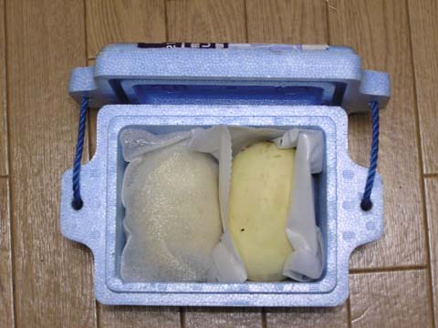 �i�V�E���i�}�N���E���j