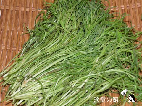 �I�J�q�W�L