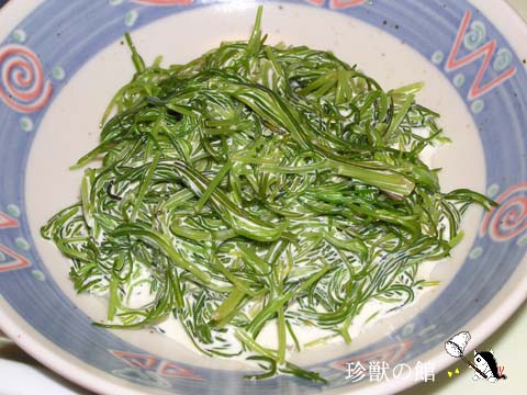 �I�J�q�W�L�̃T���_