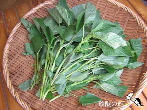 �����w�C��