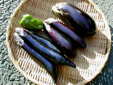 �����i�X