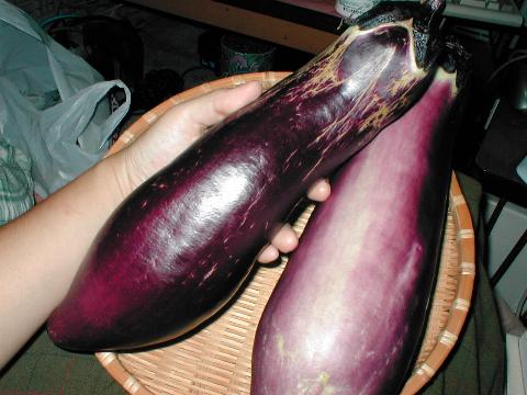 �E�\�������傫��