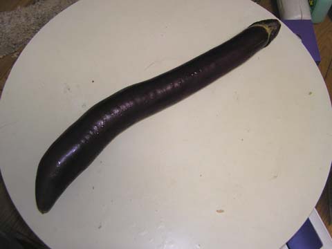 �i�K�i�X�i�F�{�Y�j