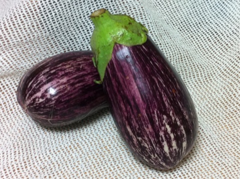 �i��s���i�i�X�j