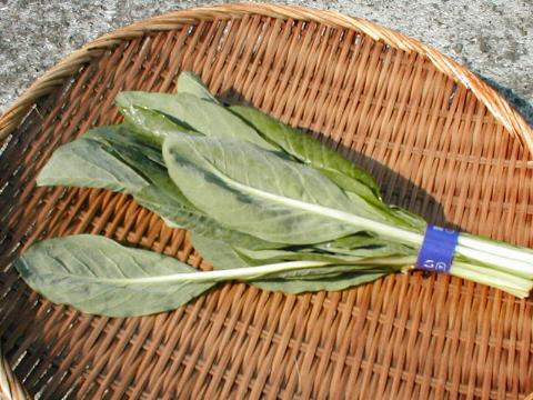 �j�K�i�i�����؁j