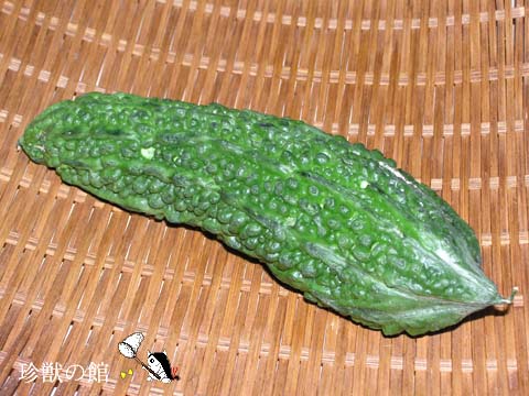 �j�K�E���i�����n�H�j