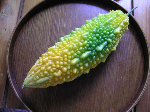 �n�ꂽ�j�K�E��