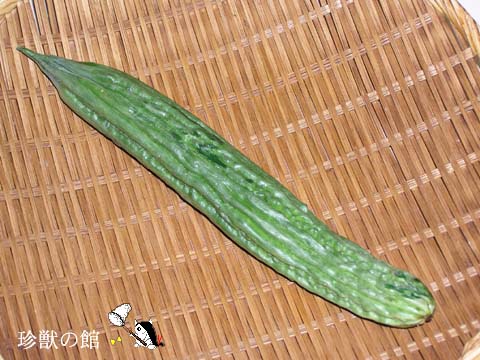 ���E�\�N�S�[��