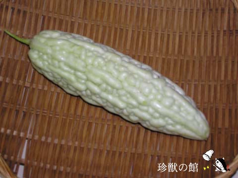 ���ꂢ���i�����j�K�E���j