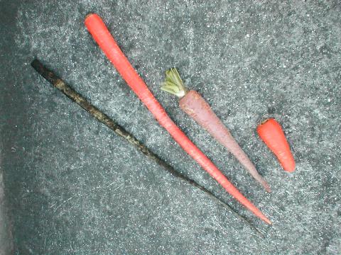 �咷�j���W��