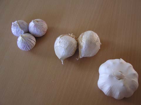 �j���j�N�̂��낢��