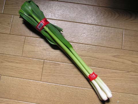 �t�j���j�N